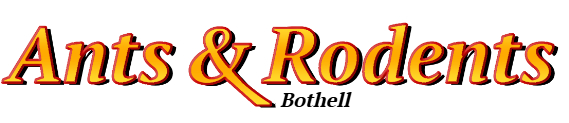 Bothell Ant Exterminator & Rodent Control Company Logo